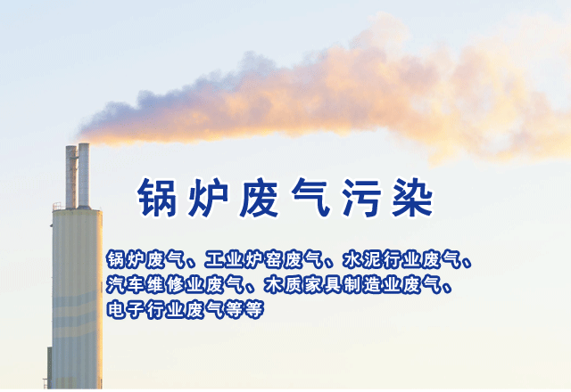 鍋爐廢氣排放濃度檢測(cè)